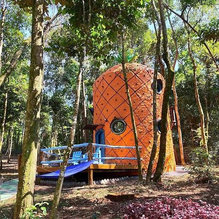 Casa Abacaxi, Vila Magica Bueno Brandão Zewnętrze zdjęcie